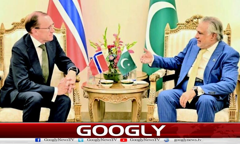 اسحاق ڈار سے ناروے کے وزیر خارجہ کی ملاقات، خطے کی صورت حال پر تبادلہ خیال 1 Norwegian Foreign Minister meets Ishaq Dar, discusses regional situation