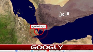 Houthis deny imposing fees on ships passing through Bab al-Mandab