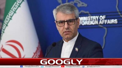 ایران کی ثابت قدمی نے دشمنوں کے منصوبوں کو ناکام بنایا : اسماعیل بقائی 2 Iran's steadfastness thwarted enemies' plans: Esmail Baqaei