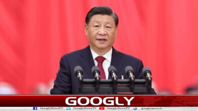 Chinese President proposes solution to Palestinian issue