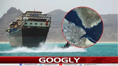 باب المندب میں تجارتی جہاز پر حوثی حملہ، 2 پاکستانیوں سمیت 3 افراد جاں بحق 5 Houthi attack on commercial ship in Bab al-Mandab, 3 people including 2 Pakistanis killed