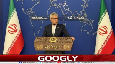 US economic sanctions are interference in global trade: Iran