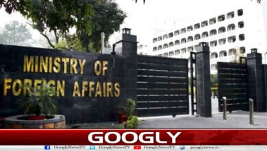 پاکستان کا غزہ امن منصوبے پر پیشرفت کا خیرمقدم 5 Pakistan welcomes progress on Gaza peace plan