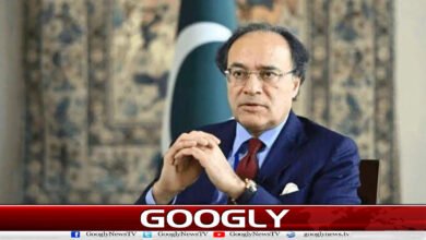Government-private sector collaboration is essential for economic development: Federal Finance Minister