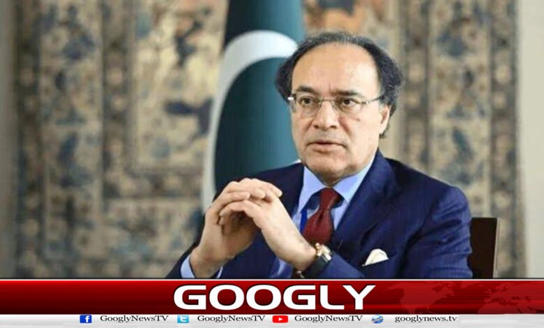 معاشی ترقی کےلیے حکومت اور نجی شعبے کا اشتراک ناگزیر ہے :وفاقی وزیر خزانہ 1 Government-private sector collaboration is essential for economic development: Federal Finance Minister