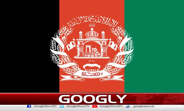 How did Afghanistan become a safe haven for international terrorist organizations?