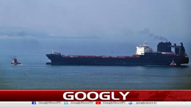 Levels of commercial traffic in the Strait of Hormuz remain low: Britain