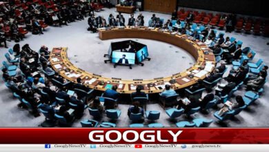 افغان دہشت گرد گروہ ہمسایہ ممالک کے لیے سنگین خطرہ ہیں: چین 5 Afghan terrorist groups pose serious threat to neighboring countries: China