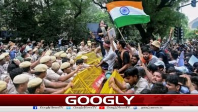 کاکروچ تحریک نے مودی کی سیاست کا جنازہ کیسے نکالا؟ 5 How did the Cockroach Movement bring about the demise of Modi's politics?