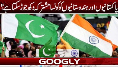 پاکستانیوں اور ہندوستانیوں کو کونسا مشترکہ دکھ جوڑ سکتا ہے؟ 2 Duk
