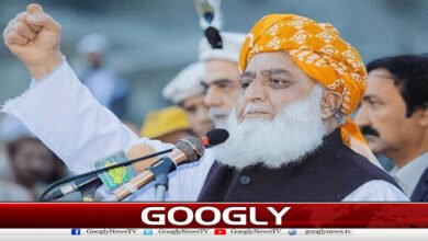 کشمیری عوام کے صبر، تحمل اور برداشت کو سلام پیش کرتے ہیں: فضل الرحمان 5 We salute the patience, forbearance and tolerance of the Kashmiri people: Fazlur Rehman