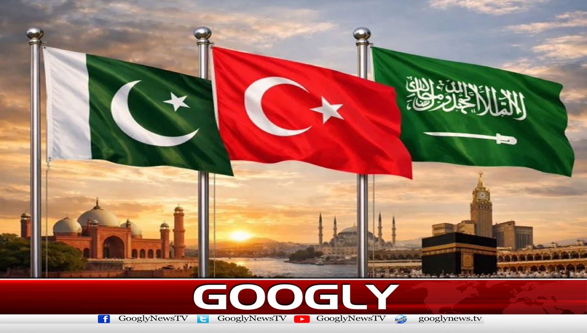 ایران سے کشیدگی، پاکستان اور ترکی نے اپنا وزن سعودیہ کے پلڑے میں کیسے ڈالا؟