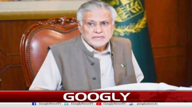Ishaq Dar confirms 3 Pakistanis killed in Houthi attacks