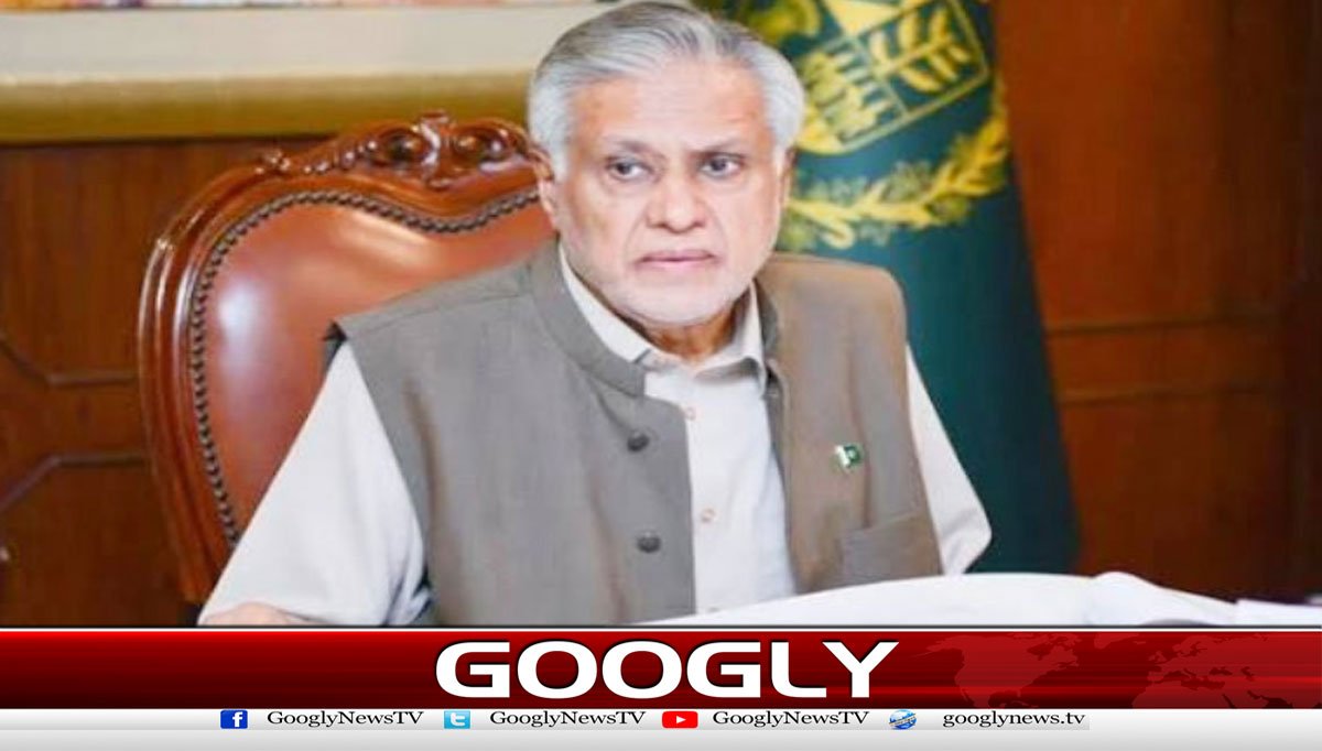 اسحاق ڈار کی حوثی حملوں میں 3 پاکستانیوں کے جاں بحق ہونے کی تصدیق