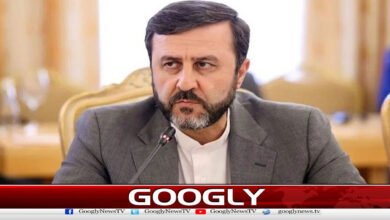 ایران اور عمان کے درمیان نئے بحری راستے پر اصولی اتفاق 5 Iran, Oman agree in principle on new sea route