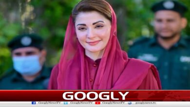 Minorities are the beauty and crown of Pakistani society: Maryam Nawaz