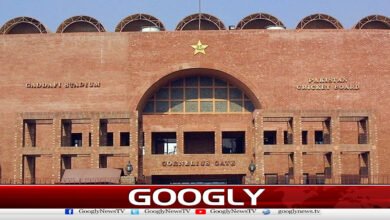 PCB issues NOC to national cricketers for foreign leagues