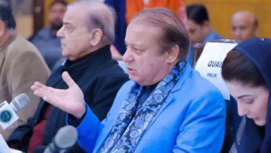 PMLN News