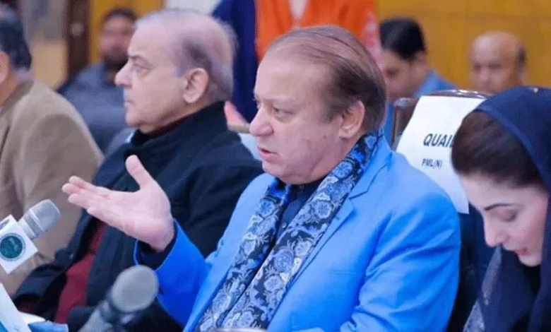 PMLN News