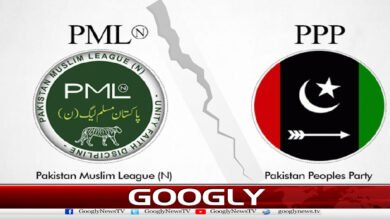 Is the PPP-PML-N alliance really in danger?