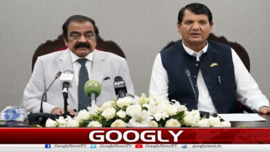 Those who mislead the people of Azad Kashmir will have to face the law: Rana Sana