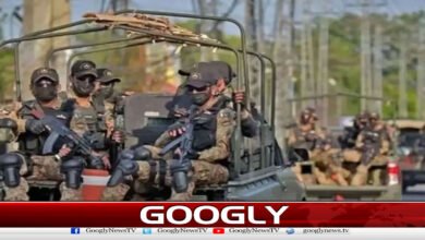 Security forces' operations in Khyber Pakhtunkhwa, 10 foreigners killed
