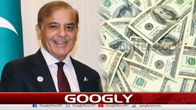 Remittances increase by 5% monthly, 13% annually, PM expresses satisfaction