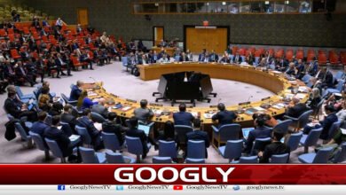 کبل خودکش حملہ: سلامتی کونسل کی شدید مذمت، پاکستان سے اظہارِ یکجہتی 5 Kabul suicide attack: Security Council strongly condemns, expresses solidarity with Pakistan