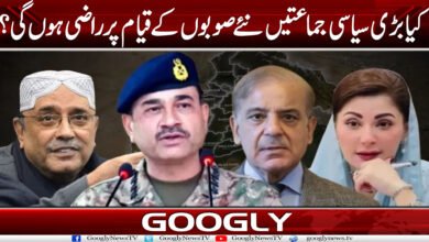 کیا بڑی سیاسی جماعتیں نئے صوبوں کے قیام پر راضی ہوں گی؟ 2 Sooba