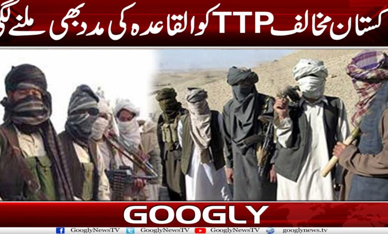 پاکستان مخالف TTP کو القاعدہ کی مدد بھی ملنے لگی 1 TTPa