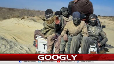 ایران جانے کی کوشش کرنیوالے 14 افغانیوں کی لاشیں صحرا سے برآمد 2 Bodies of 14 Afghans trying to reach Iran recovered from desert