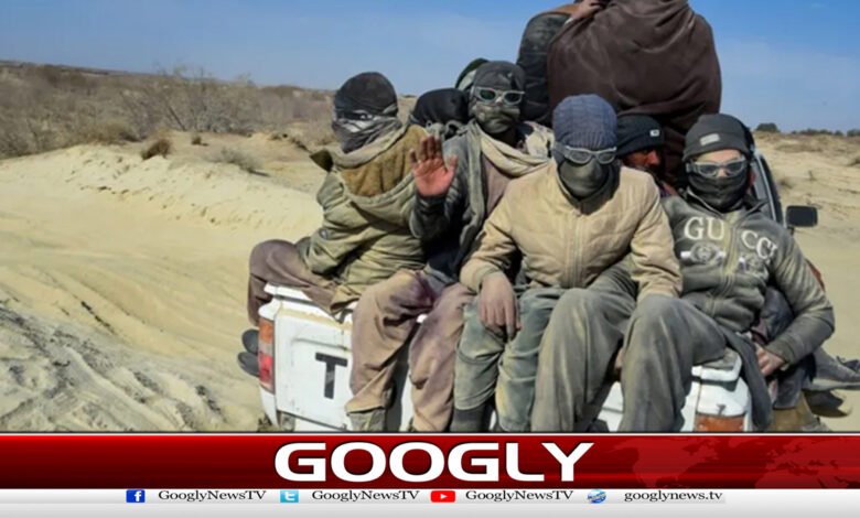 Bodies of 14 Afghans trying to reach Iran recovered from desert