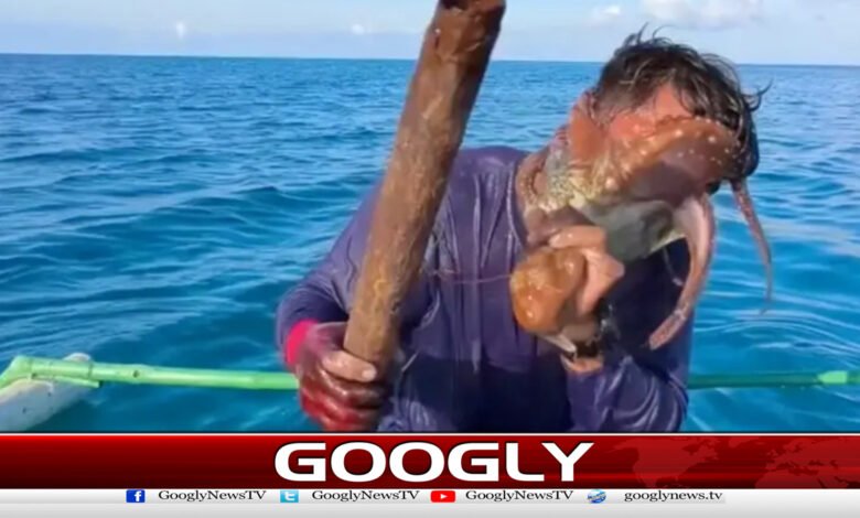 آکٹوپس نےماہی گیر کے چہرے کو بری طرح جکڑ لیا 1 Octopus bites fisherman's face badly