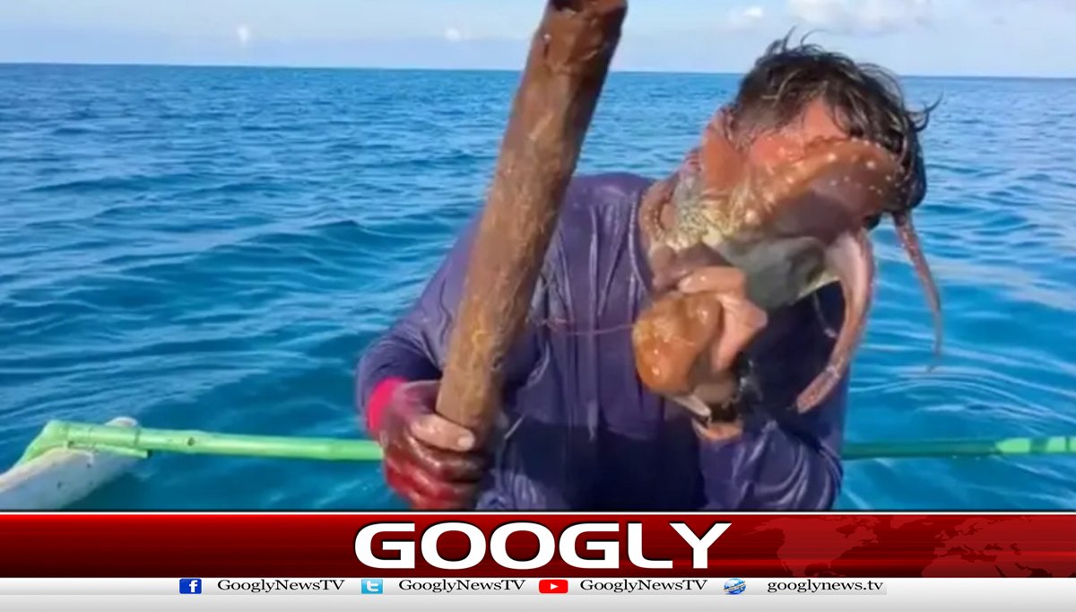 آکٹوپس نےماہی گیر کے چہرے کو بری طرح جکڑ لیا