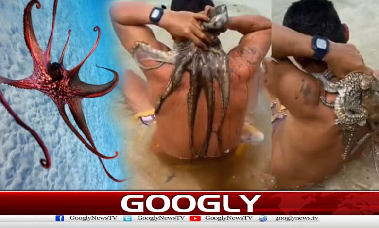 آکٹوپس نے شخص کو دبوچ لیا، حیران کن ویڈیووائرل 1 Octopus grabs man, shocking video goes viral