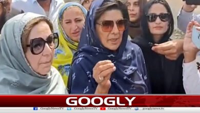 Fake news is being spread regarding Imran Khan's health, says Aleema Khan