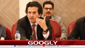 ترک پیٹرولیم کمپنیاں بڑی سرمایہ کاری کرنےجارہی ہیں،علی پرویز
