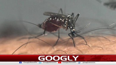 Dangerous 'West Nile Virus' spreads in America