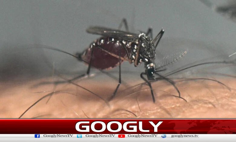 Dangerous 'West Nile Virus' spreads in America
