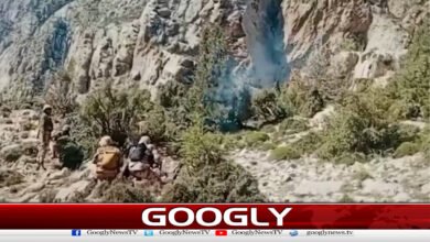 Security forces operation in Panjgur district, 5 terrorists killed