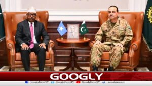 پاکستان اور صومالیہ کے درمیان دفاعی تعاون بڑھانےپراتفاق