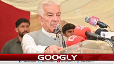 PPP had PTI's support in Azad Kashmir, says Defense Minister