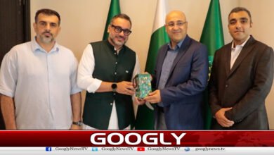 Pakistan, Iran agree to increase cricket cooperation