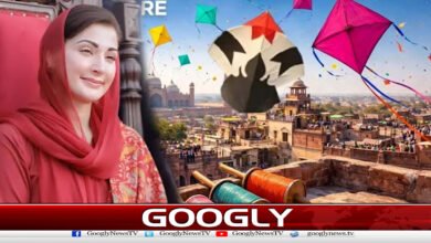 Maryam Nawaz announces to celebrate Basant in March 2027