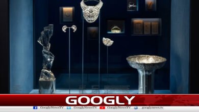Thief steals necklace worth one billion rupees and escapes in broad daylight