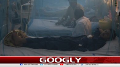 Dengue is out of control in Khyber Pakhtunkhwa