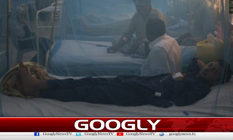 Dengue is out of control in Khyber Pakhtunkhwa