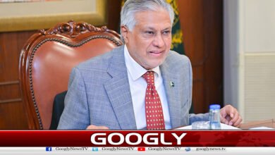 The brutality of the waves of favoritism in the Aqsa Mosque is remarkable, says Ishaq Dar