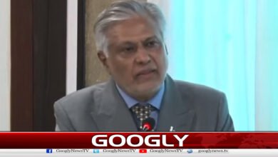 Pakistan has extensive experience in dealing with natural disasters, says Ishaq Dar