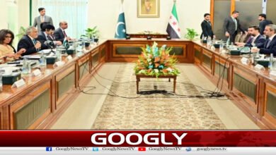 Syrian Foreign Minister Welcomes Mecca Defense Agreement